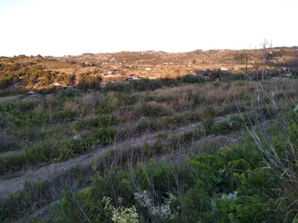 Terreno en Partida Coet