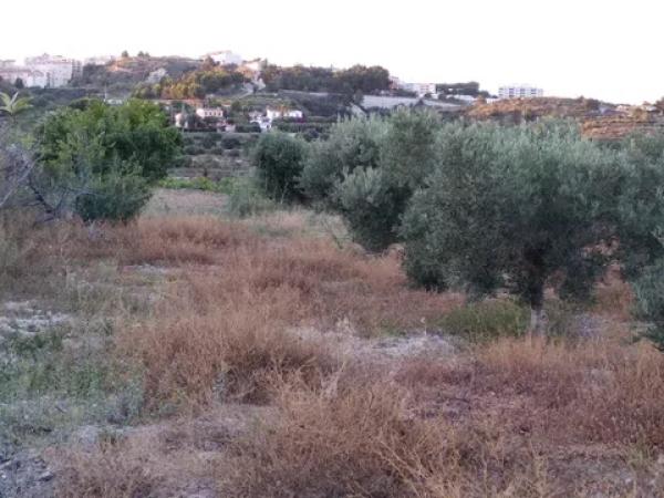 Terreno en Partida Coet