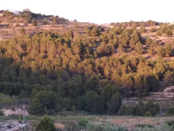 Terreno en Partida Coet