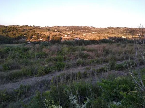 Terreno en Partida Coet