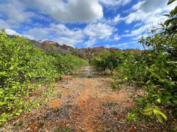 Terreno en Partida Raco de Boja, 11