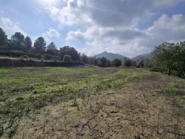 Terreno en Orba