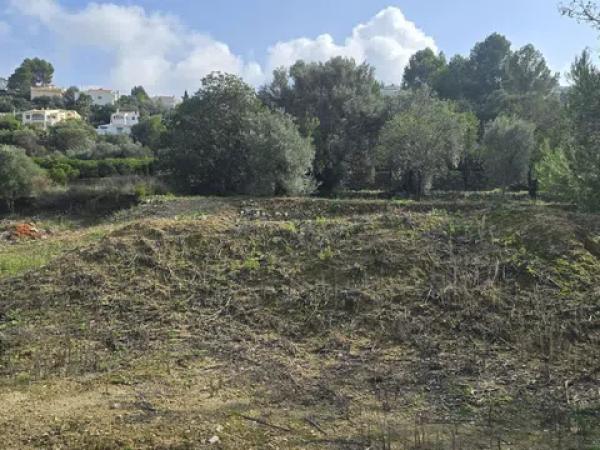 Terreno en Orba