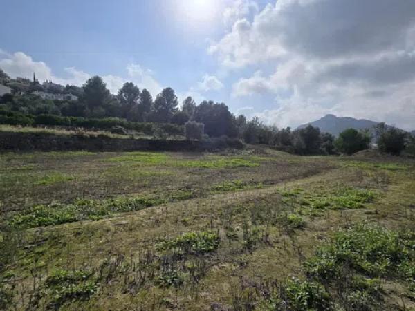 Terreno en Orba