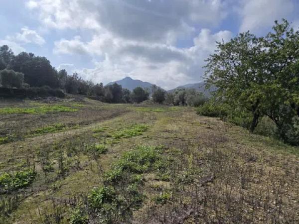 Terreno en Orba