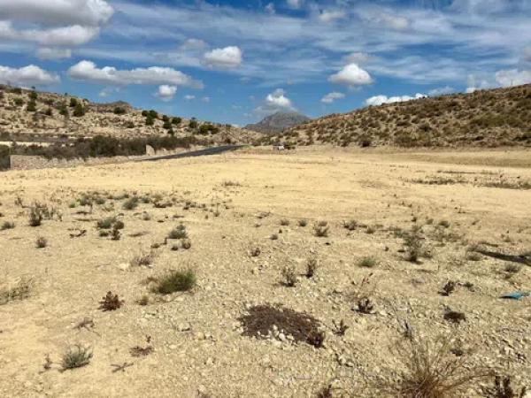 Terreno en Diseminado Monnegre