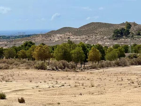 Terreno en Diseminado Monnegre