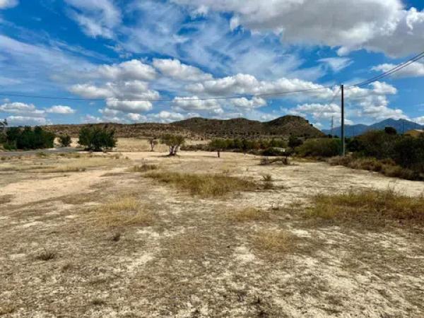 Terreno en Diseminado Monnegre