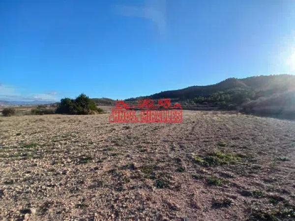 Terreno en Hondón de los Frailes