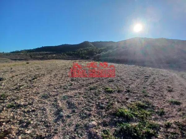 Terreno en Hondón de los Frailes