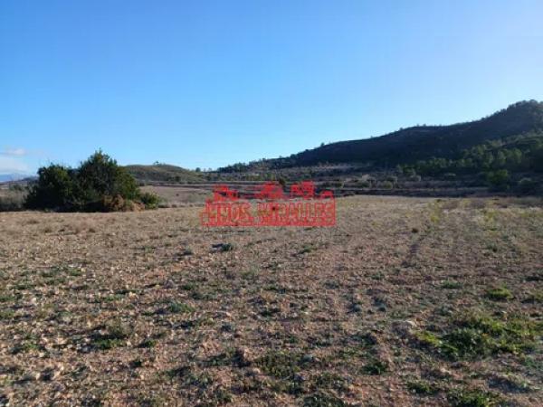 Terreno en Hondón de los Frailes