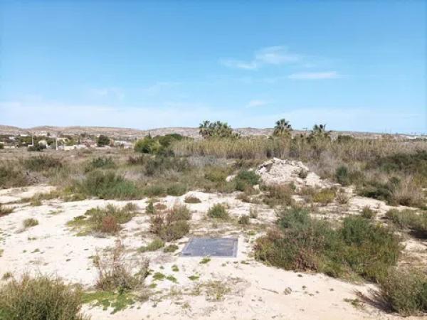 Terreno en Torrellano