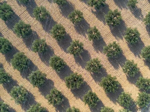 Terreno en Partida Derramador, 119