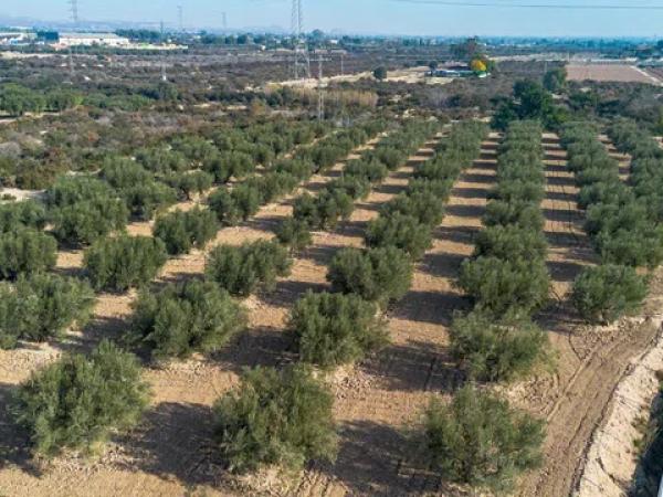 Terreno en Partida Derramador, 119