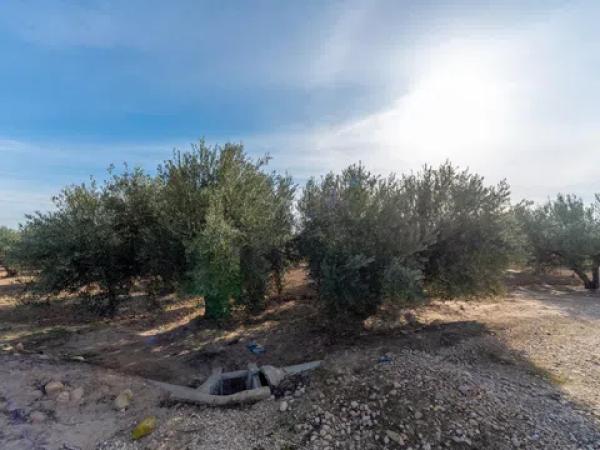 Terreno en Partida Derramador, 119