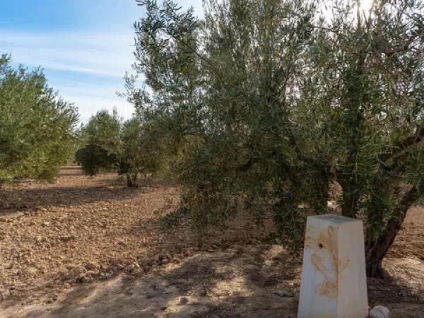 Terreno en Partida Derramador, 119