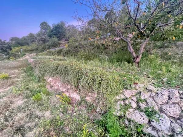 Terreno en Vall de Laguart