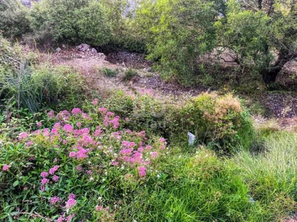Terreno en Vall de Laguart
