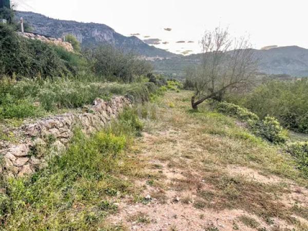 Terreno en Vall de Laguart