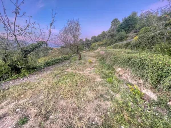 Terreno en Vall de Laguart