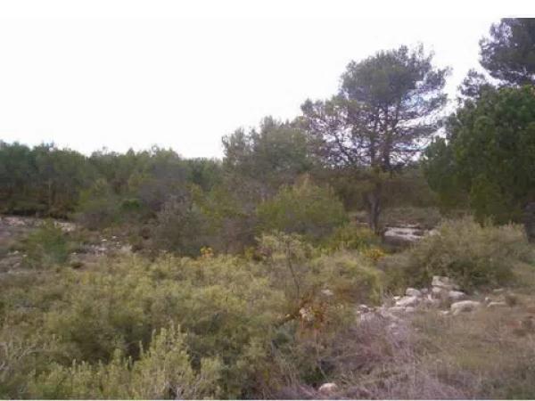 Terreno en Partida Barxell s/n