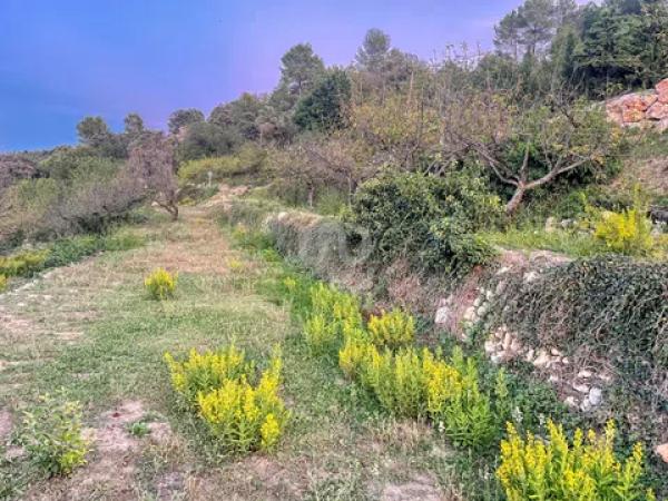 Terreno en Vall de Laguart