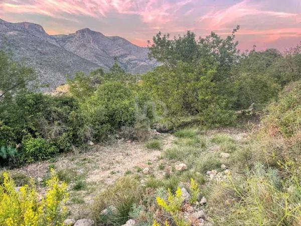 Terreno en Vall de Laguart