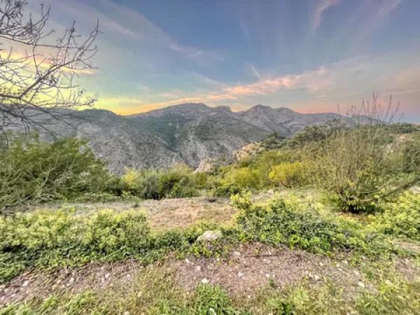 Terreno en Vall de Laguart