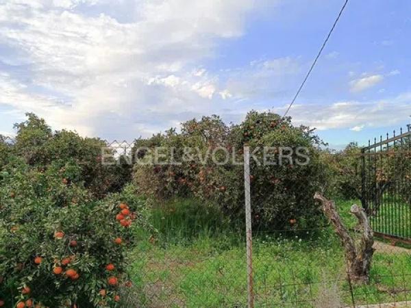 Terreno en Barrio Les Bassetes-El Marjal