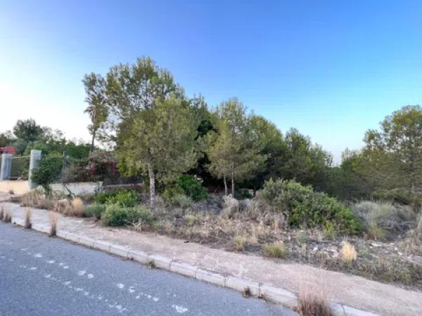 Terreno en El planet, 51