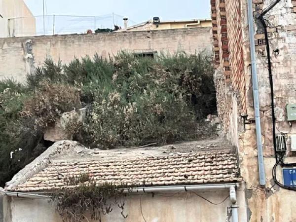 Terreno en Crevillente