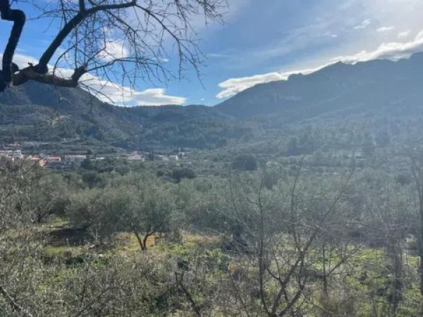 Terreno en Castell de Castells