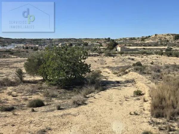 Terreno en camino Salades Torrellano s/n