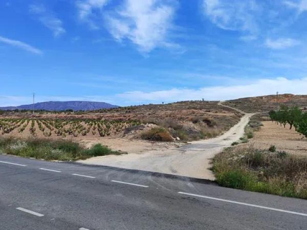 Terreno en carretera Yecla