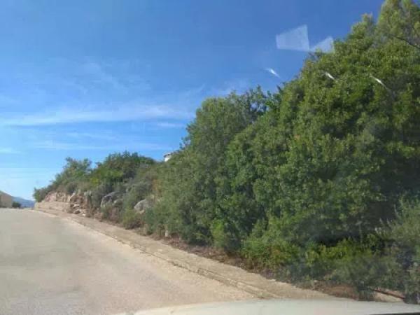 Terreno en calle Pintor Picaso