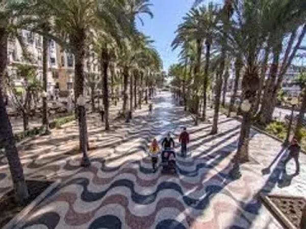 Terreno en camino de la Ermita de San Pedro