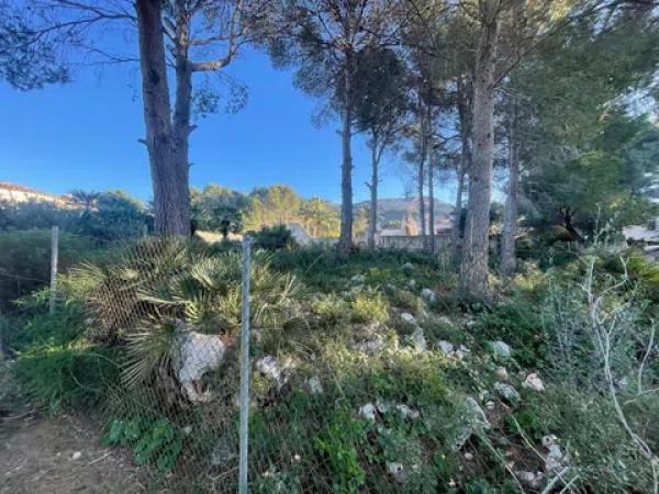 Terreno en La Pedrera-Vessanes