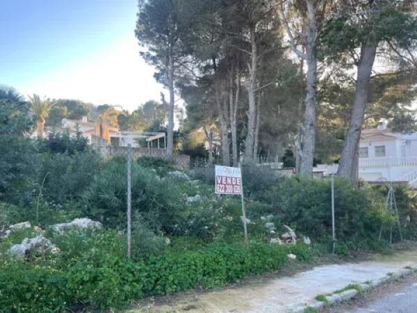 Terreno en La Pedrera-Vessanes