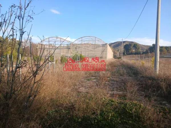 Terreno en Pedanías Este