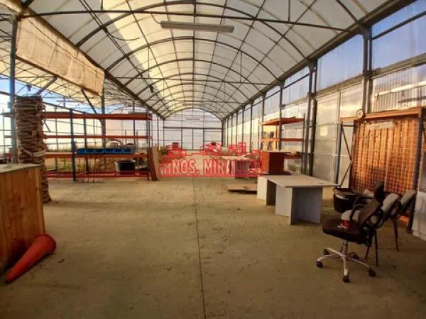 Terreno en Pedanías Este