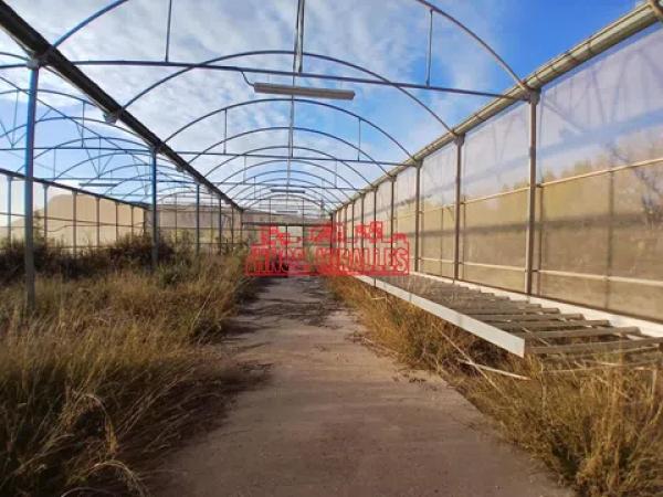 Terreno en Pedanías Este