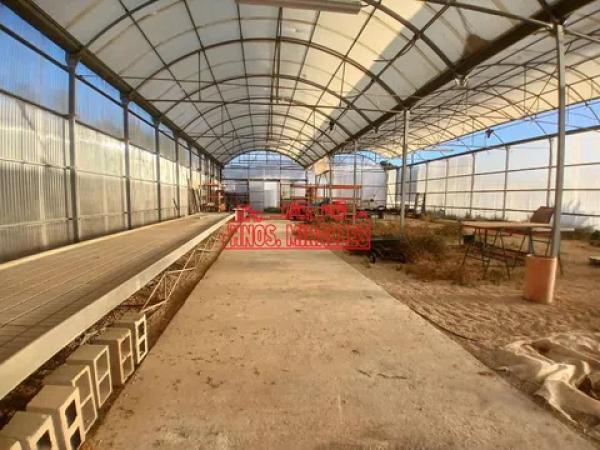 Terreno en Pedanías Este