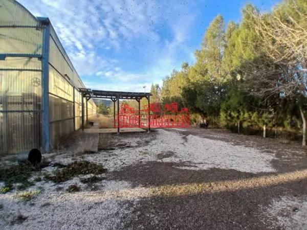 Terreno en Pedanías Este