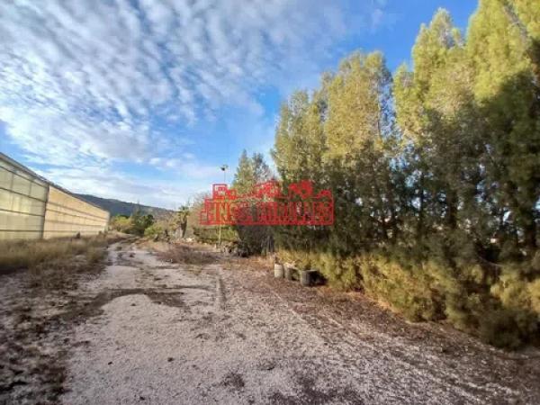 Terreno en Pedanías Este