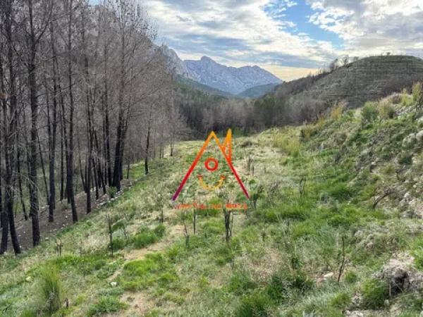 Terreno en Partida Picassaries