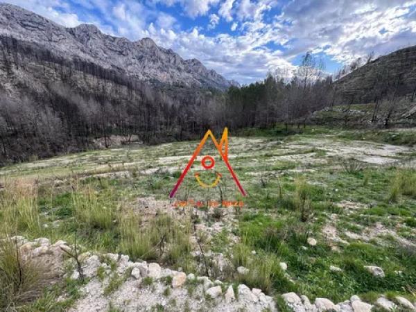 Terreno en Partida Picassaries