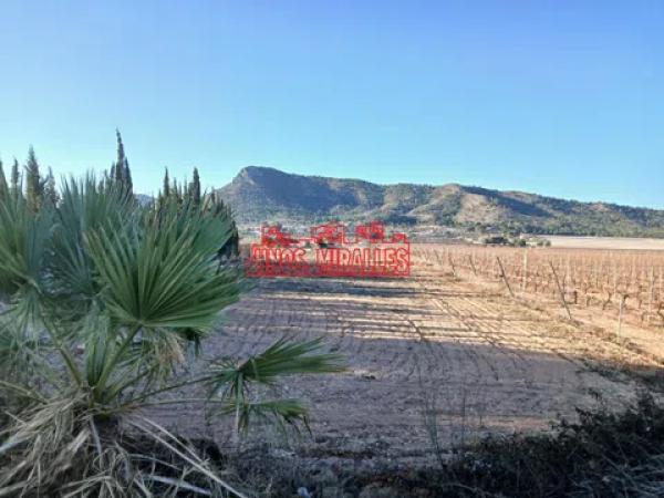 Terreno en Pedanías Este