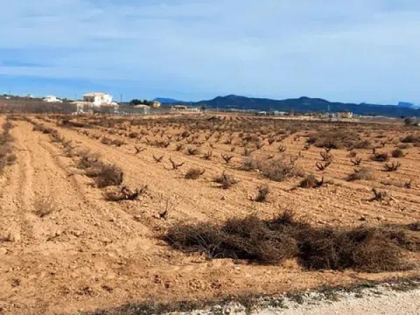 Terreno en Pedanía de Lel, km 8