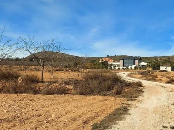 Terreno en Pedanía de Lel, km 8