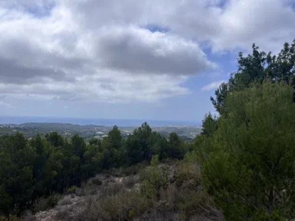 Terreno en Callosa d'En Sarria